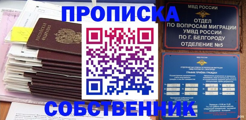 прописка законно в Волгореченске